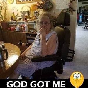 Meet your Posher, Bobbie